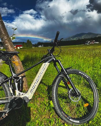 Used Mondraker DUSK 2024 2024 Mountainbike, Black, 29 — image 4 of 25