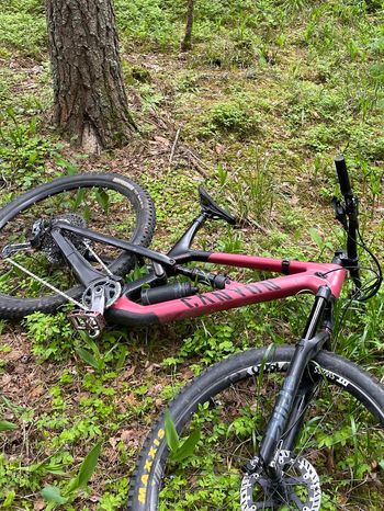 Used Canyon Spectral 29 CF 9 2021 2021 MTB