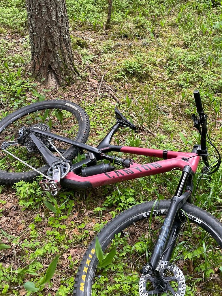 Used Canyon Spectral 29 CF 9 2021 2021 Mountainbike — image 1 of 4