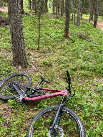 Used Canyon Spectral SRAM GX Eagle 2021 Mountainbike, Red, 29 — image 5 of 5