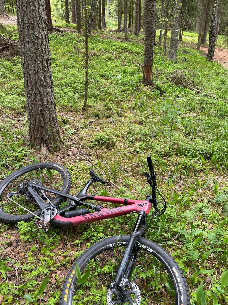 Used Canyon Spectral SRAM GX Eagle 2021 Mountainbike, Red, 29 — image 5 of 5