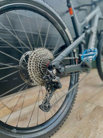 Used Canyon Spectral 29 AL 5 2023 2023 Mountainbike, Black, 29 — image 4 of 6