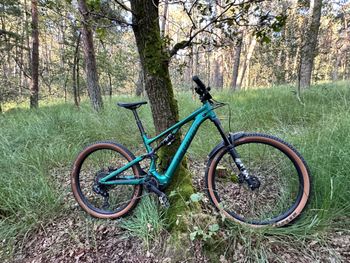 Used Specialized Turbo Levo SL Comp Alloy 2024 2024 MTB