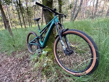 Used Specialized Turbo Levo SL Comp Alloy 2024 2024 Mountainbike, Green — image 2 of 7