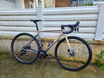 Used Basso Diamante Frameset 2024 Road & Gravel, Light Gray — image 4 of 4