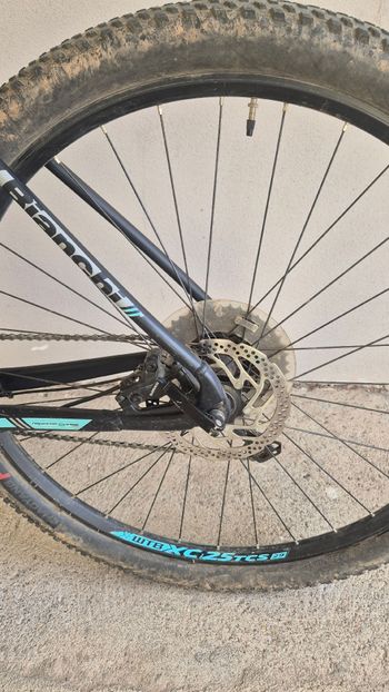 Used Bianchi Grizzly 29.3 2018 2018 Mountainbike, Black, 29 — image 7 of 8