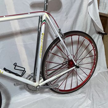 Used Pelizzoli Vintage Steel Road Bike Campagnolo Record Fulcrum 62cm 1993 Road & Gravel, White — image 5 of 29