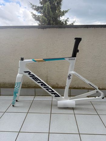 Used Merida REACTO TEAM 2026 Frameset 2026 Road & Gravel, White — image 2 of 4