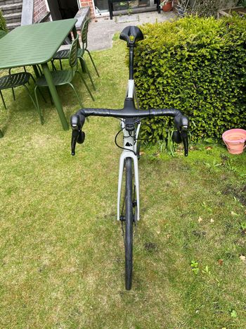 Used Canyon Endurace CF SL 8 Disc 2022 2022 Road & Gravel — image 3 of 13