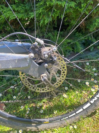 Used Moma Moma Custom Other Shimano 2024 Mountainbike, Light Gray — image 5 of 10