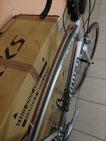 Used Specialized Secteur Elite 2014 2014 Road & Gravel, Light Gray — image 2 of 19
