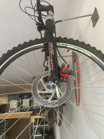 Used Bottecchia Bottecchia Custom Shimano Acera 2000 Mountainbike, Hellgrau — image 10 of 10