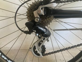 Used Bottecchia Bottecchia Custom Shimano Acera 2000 Mountainbike, Hellgrau — image 6 of 10