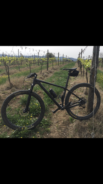 Used Trek Procaliber 9.7 2022 2022 Mountainbike, Black, 29 — image 5 of 5