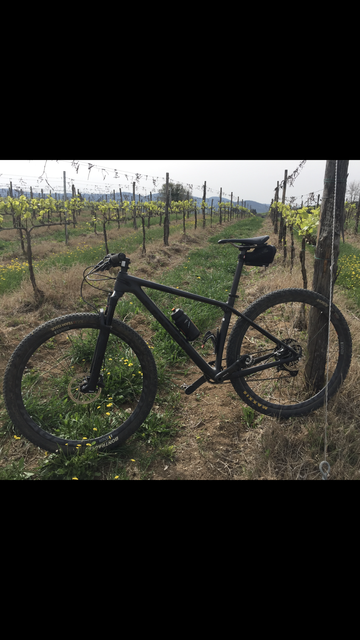 Used Trek Procaliber 9.7 2022 2022 Mountainbike, Black, 29 — image 5 of 5