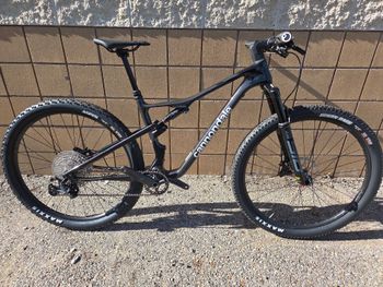 Used Cannondale Scalpel 4 2024 2024 MTB