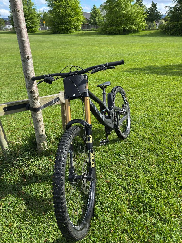 Used Canyon Sender CFR 29 2024 2024 Mountainbike, Black, 29 — image 2 of 13