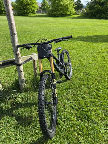 Used Canyon Sender CFR 29 2024 2024 Mountainbike, Black, 29 — image 5 of 13