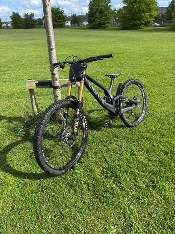 Used Canyon Sender CFR 29 2024 2024 MTB