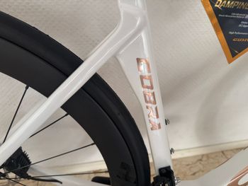 Used Gusto Gusto Custom Shimano 105 2025 Road & Gravel — image 6 of 16