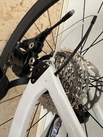 Used Gusto Gusto Custom Shimano 105 2025 Road & Gravel — image 8 of 16