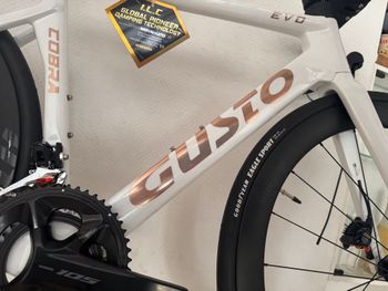 Used Gusto Gusto Custom Shimano 105 2025 Road & Gravel — image 2 of 16
