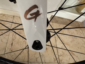 Used Gusto Gusto Custom Shimano 105 2025 Road & Gravel — image 15 of 16