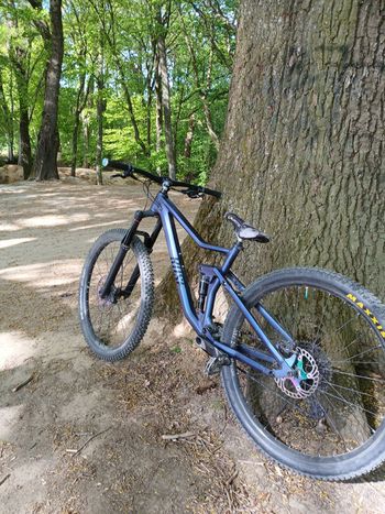 Used Rose ROOT MILLER 1 2021 2021 Mountainbike, Blue, 29 — image 5 of 5