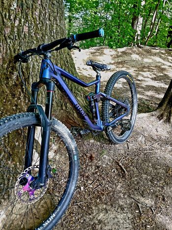 Used Rose ROOT MILLER 1 2021 2021 Mountainbike, Blue, 29 — image 4 of 5