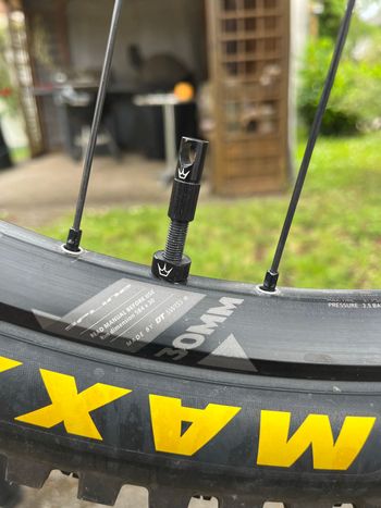 Used Canyon Spectral AL 6.0 2020 2020 Mountainbike, Black, 27.5 — image 13 of 19