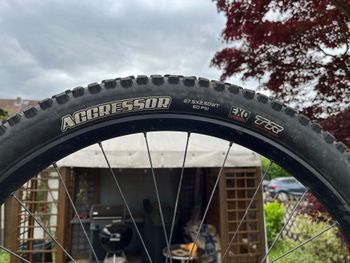 Used Canyon Spectral AL 6.0 2020 2020 Mountainbike, Black, 27.5 — image 11 of 19