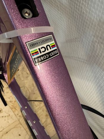 Used Gusto Gusto Custom Shimano 105 2025 Road & Gravel, Purple — image 6 of 12