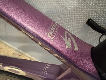 Used Gusto Gusto Custom Shimano 105 2025 Road & Gravel, Purple — image 12 of 12