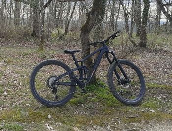 Used Trek Fuel EX 9.8 XT Gen 6 2023 2023 Mountainbike — image 3 of 6