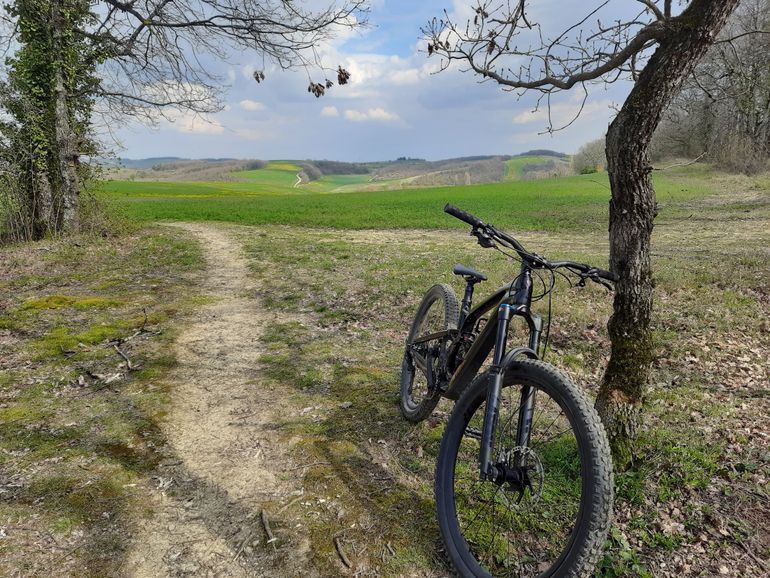 Used Trek Fuel EX 9.8 XT Gen 6 2023 2023 Mountainbike, Black, 29 — image 1 of 11