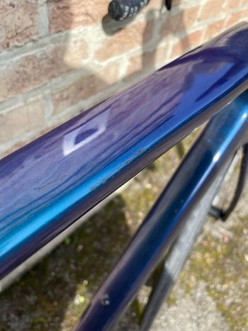 Used Stevens Stevens Arcalis Campagnolo Chorus 12V   2023 2023 Road & Gravel, Blue — image 32 of 32