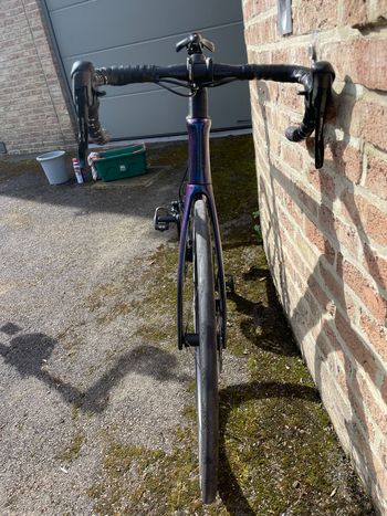 Used Stevens Stevens Arcalis Campagnolo Chorus 12V   2023 2023 Road & Gravel, Blue — image 14 of 32