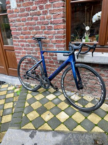 Used Stevens Stevens Arcalis Campagnolo Chorus 12V   2023 2023 Road & Gravel, Blue — image 3 of 32