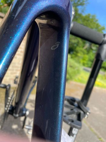 Used Stevens Stevens Arcalis Campagnolo Chorus 12V   2023 2023 Road & Gravel, Blue — image 31 of 32