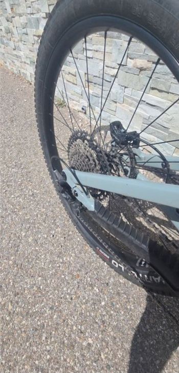 Used Haro Greer Alloy 1 2025 2025 Mountainbike, Light Gray — image 5 of 7