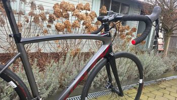 Used Ridley Fenix SL Disc - Shimano Ultegra 2x11sp 2021 2021 Road & Gravel — image 3 of 16