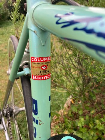 Used Bianchi Bianchi Custom Campagnolo Record 1992 Road & Gravel, Green — image 3 of 10