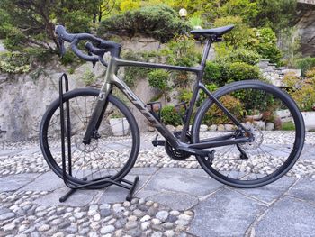 Used Scott Addict 30 2024 2024 Road & Gravel
