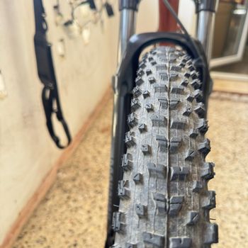 Used Trek Marlin 6 2021 2021 Mountainbike, Red, 29 — image 4 of 6