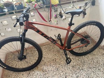 Used Trek Marlin 6 2021 2021 Mountainbike, Red, 29 — image 6 of 6