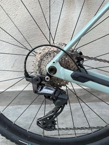 Used Orbea TERRA H30 2024 2024 Road & Gravel, Green — image 4 of 8