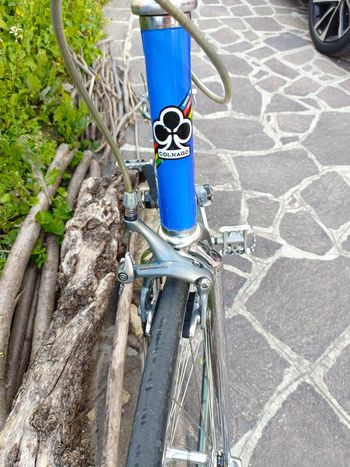 Used Colnago Master 'ADIDAS LTD' Frameset 2021 2021 Road & Gravel, Blue — image 4 of 6