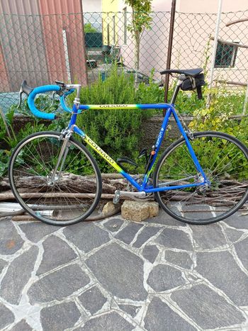 Used Colnago Master 'ADIDAS LTD' Frameset 2021 2021 Road & Gravel