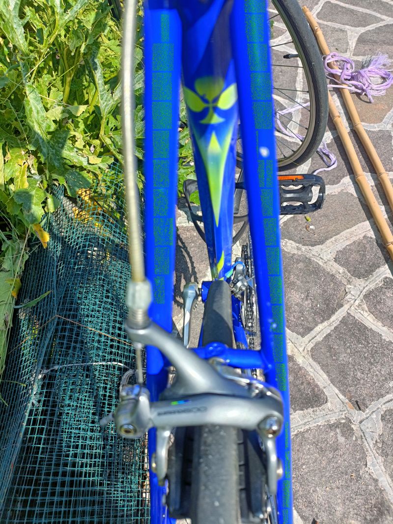 Used Colnago Master Shimano 600 1988 Road & Gravel, Blue — image 9 of 13