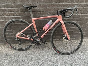 Used Specilized Specilized Custom Frameset 2023 Road & Gravel — image 6 of 11